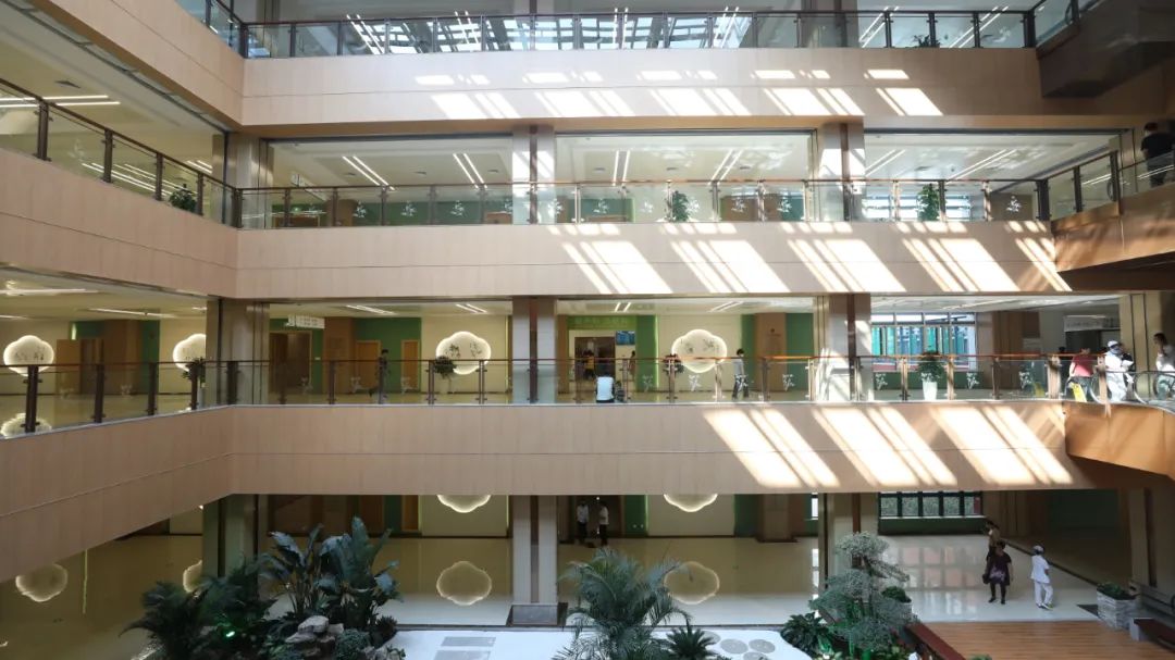 传承创新 行稳致远|潍坊市中医院东院区开诊三周年