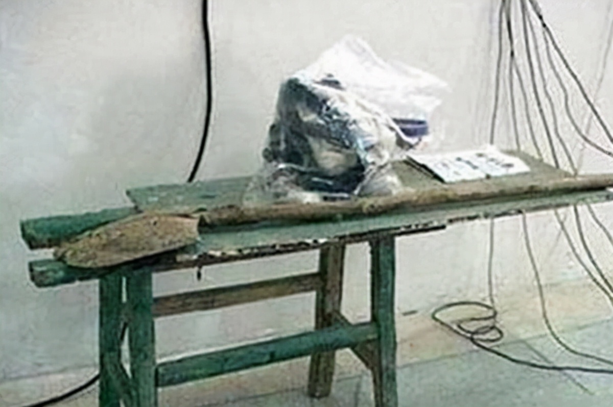 "智能木马"连环杀人案,男子制作工具连杀17人,死刑前留下忠告