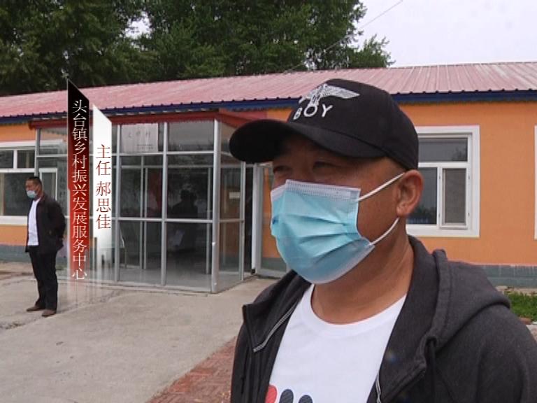 肇源县头台镇:政府"牵线"爱心企业 扶贫鹅雏送进门