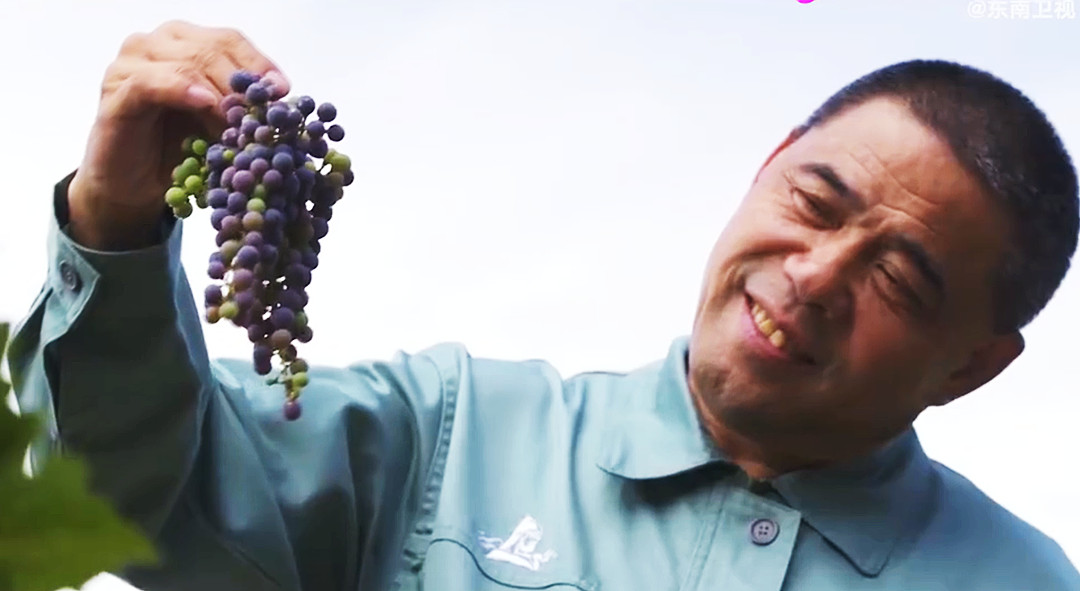 戈壁传奇:22亿打造绿洲神话,他的故事如酒香满溢,值得细品