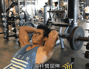 也许是肱三头肌的力量不