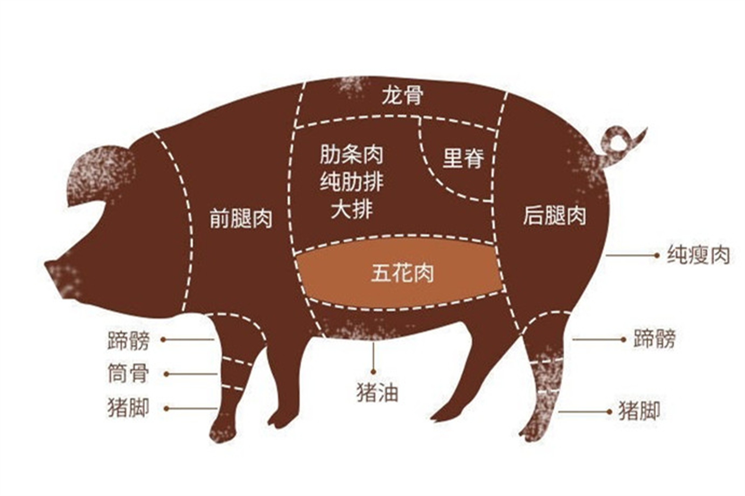 买五花肉时,要分清"上五花"和"下五花",价格一样但差别不小