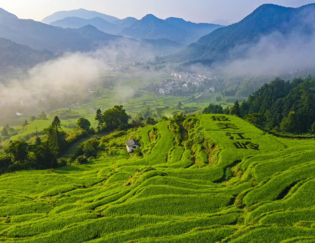 多彩江岭 "织出"田园诗画