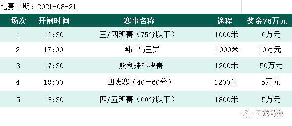 大陸馬視頻直播2021玉龍國際賽馬公開賽第15賽事日