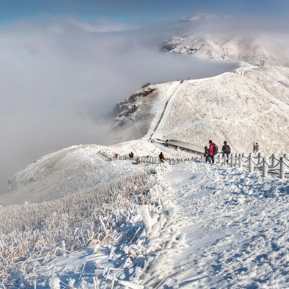 江西武功山雪景图片图片