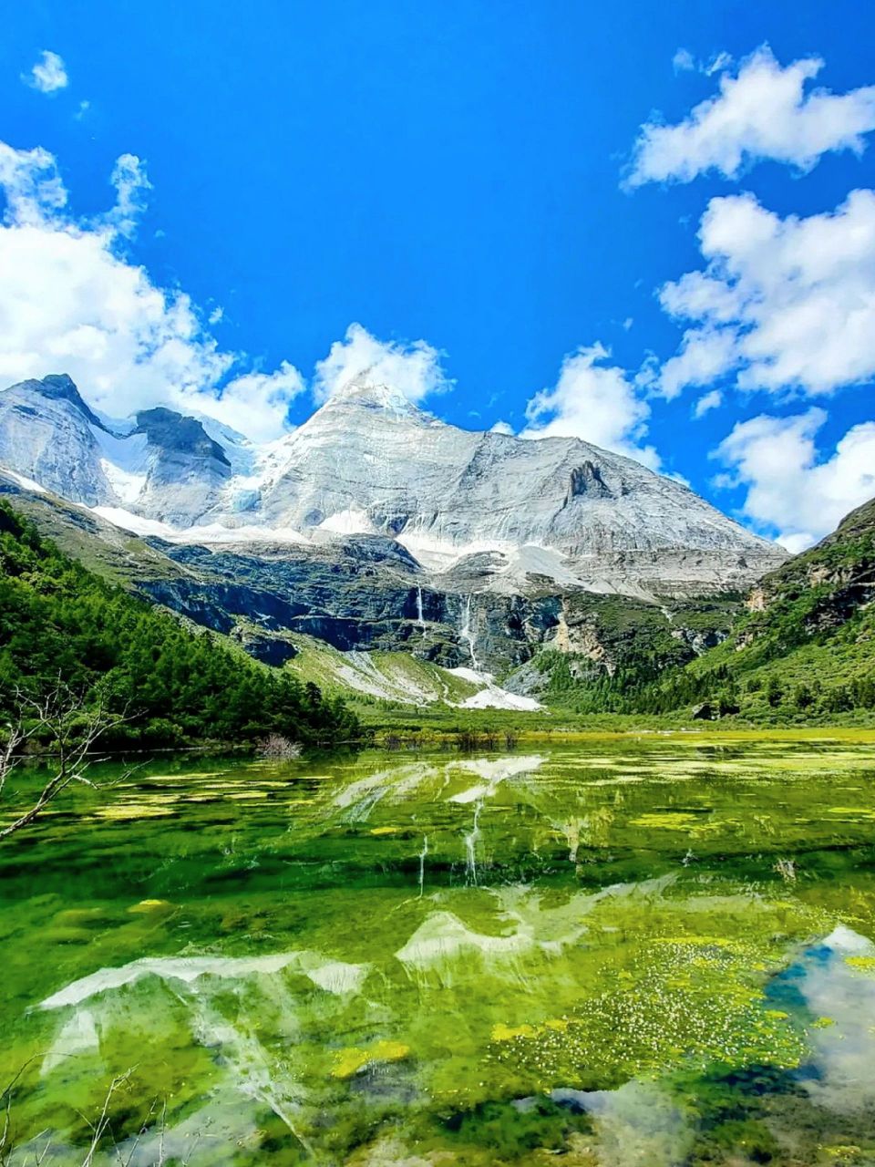 今年夏天,要换个方式打卡稻城亚丁咯6015 夏天的稻城亚丁真的闭眼