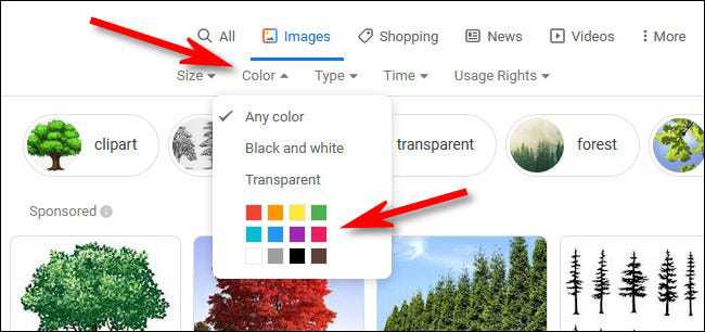 如何按颜色过滤 google 图片搜索结果