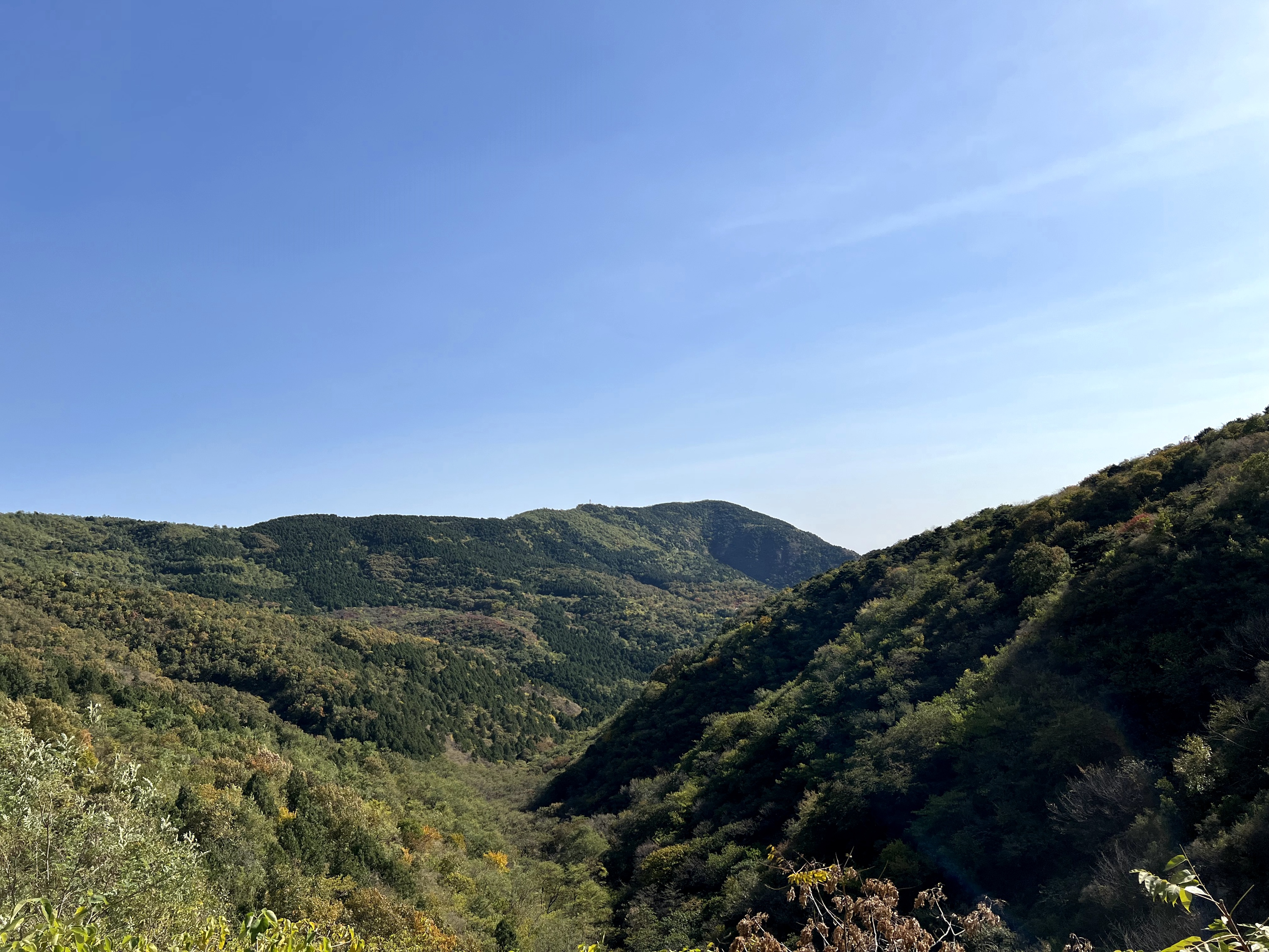 香山植物园秋天美景图片