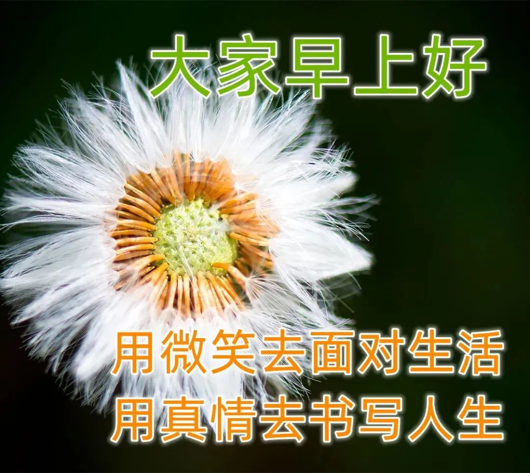 早晨好漂亮图片带字问候语 微信群春季早晨好问候语祝福语图片