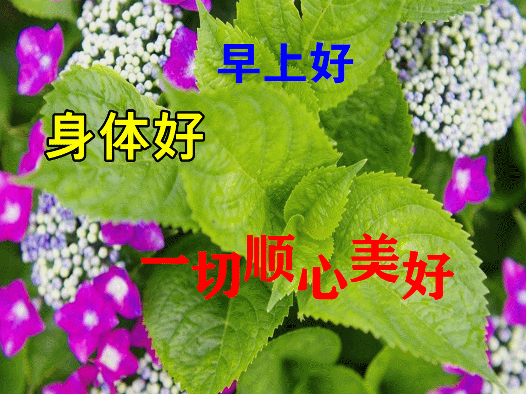 早安!今天是一个充满希望和机遇的新日子,让我们一起迎接它吧!   2.
