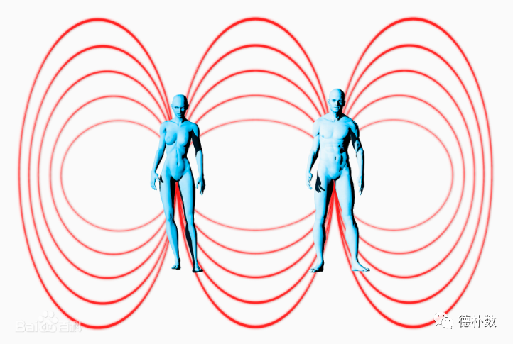 认识一致性趋势的四维空间