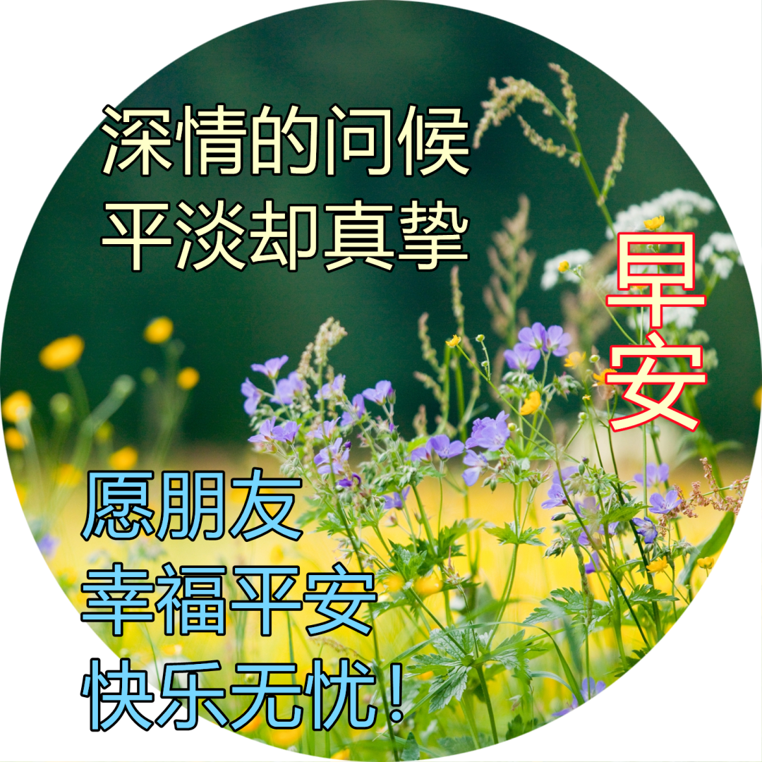 周六最新早上好问候动态图带字 最美早安问候图片带字温馨