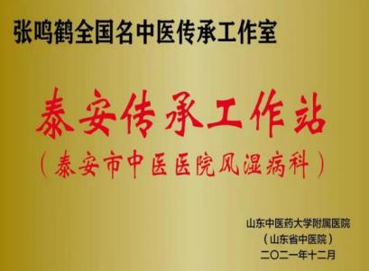 全国名中医张鸣鹤教授来泰安市中医医院坐诊