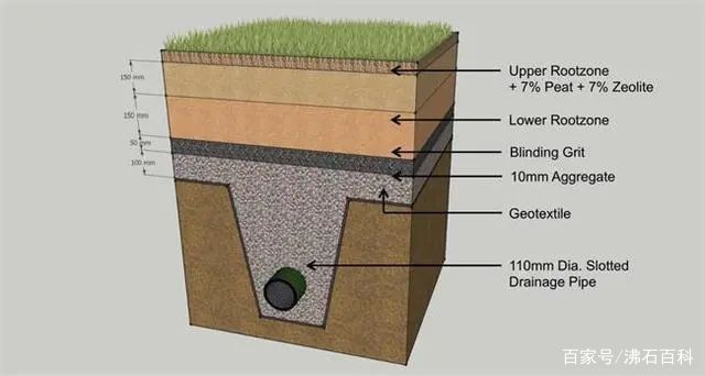 选择沸石，彻底告别毒草坪、臭草坪，提高公共空间生态净化率！(图12)