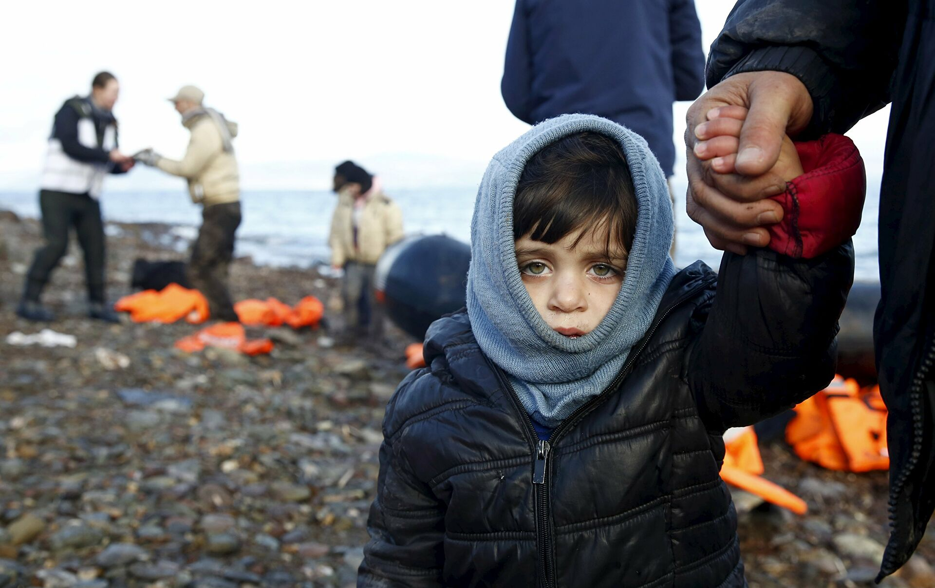 创七年来新高,欧洲难民人数超114万,叙利亚人成最大申请者群体