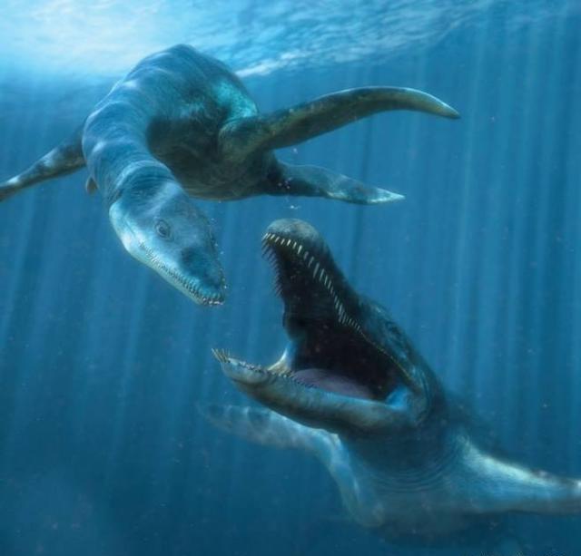 史前顶级猎杀者的正面交锋!沧龙与巨齿鲨,谁才是不败的王者?