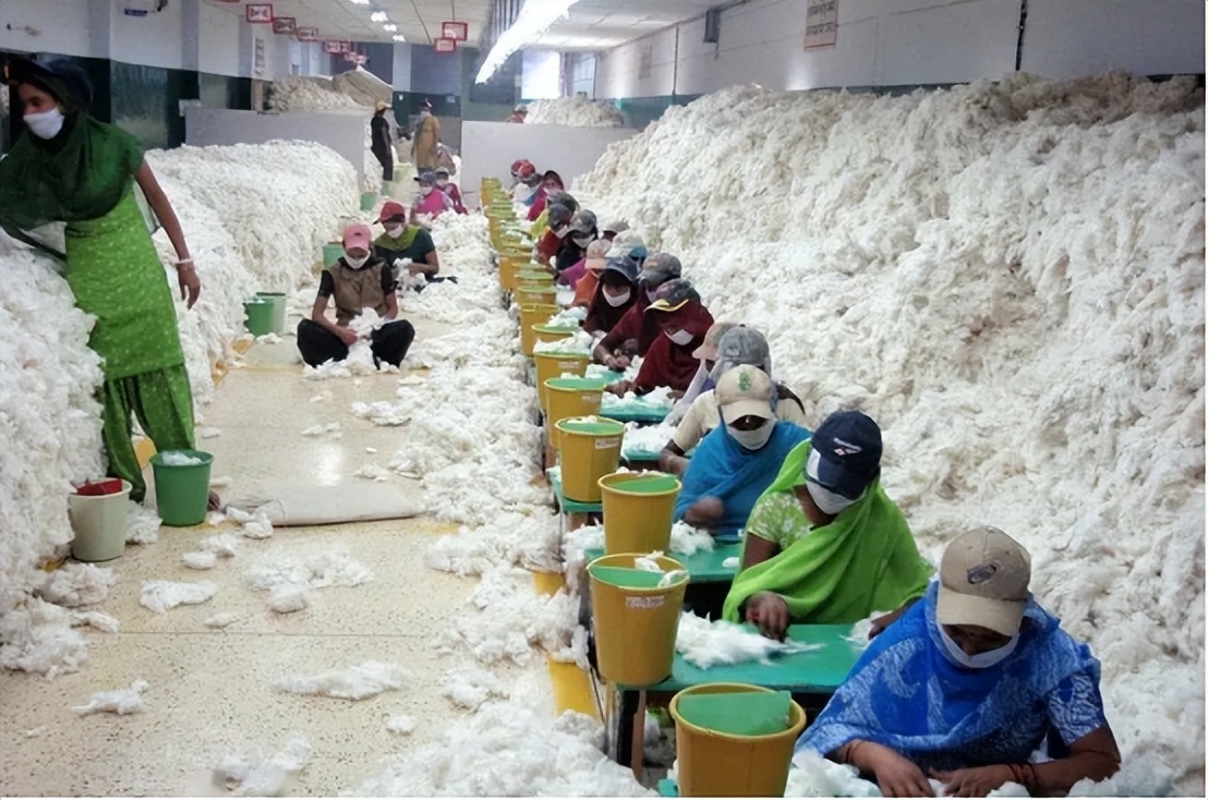 我国每年进口200万吨棉花,自己都不够用的同时,为啥还要出口?