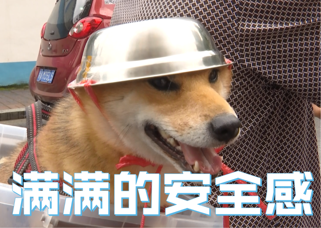 还有网友你的头盔也安排上了吗?自6月1日
