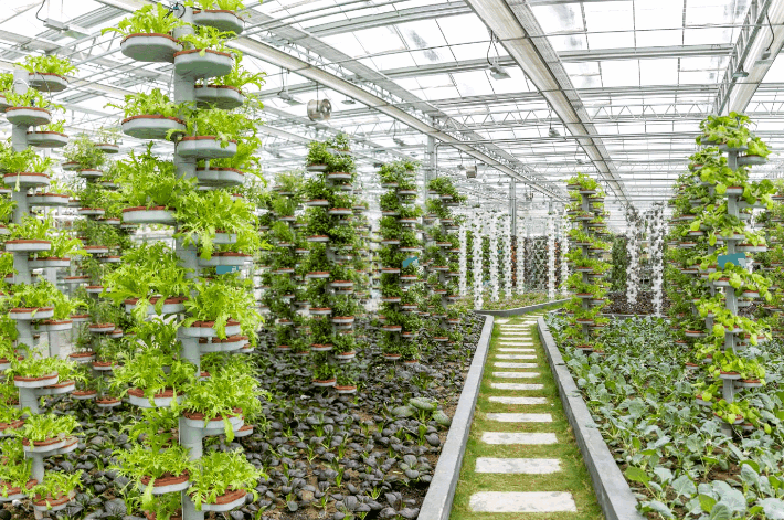 浅析农业嘉年华温室中景观空间利用与立体设计