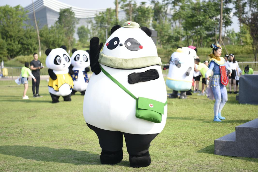 今天,全成都的"熊猫"在这里开了一场运!动!会!