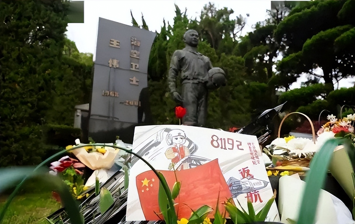 海空卫士王伟,南海撞击美机,81192收到请回答!