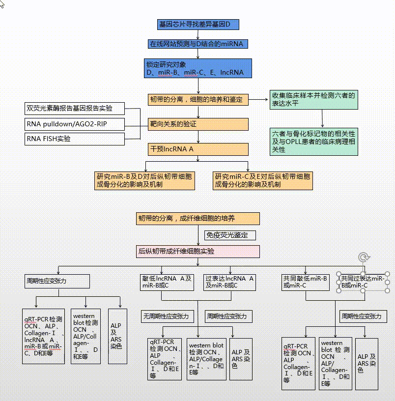 叮!國自然熱點技術路線模板 醫學部3800份中標標書目錄|aier福利