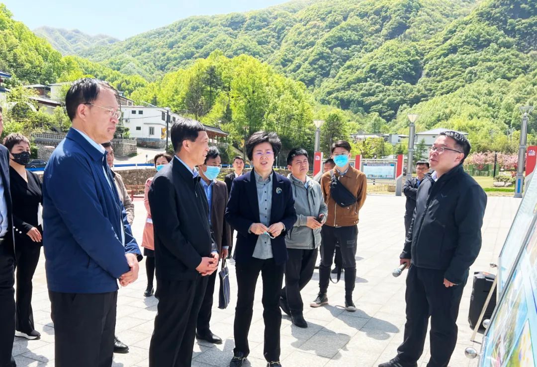 王琰君到我县调研美丽乡村旅游公路建设工作