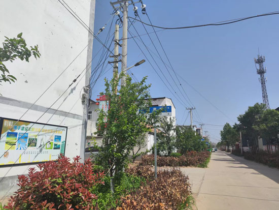 中牟县姚家镇老八庄村:"好家风"助推乡村"好民风"