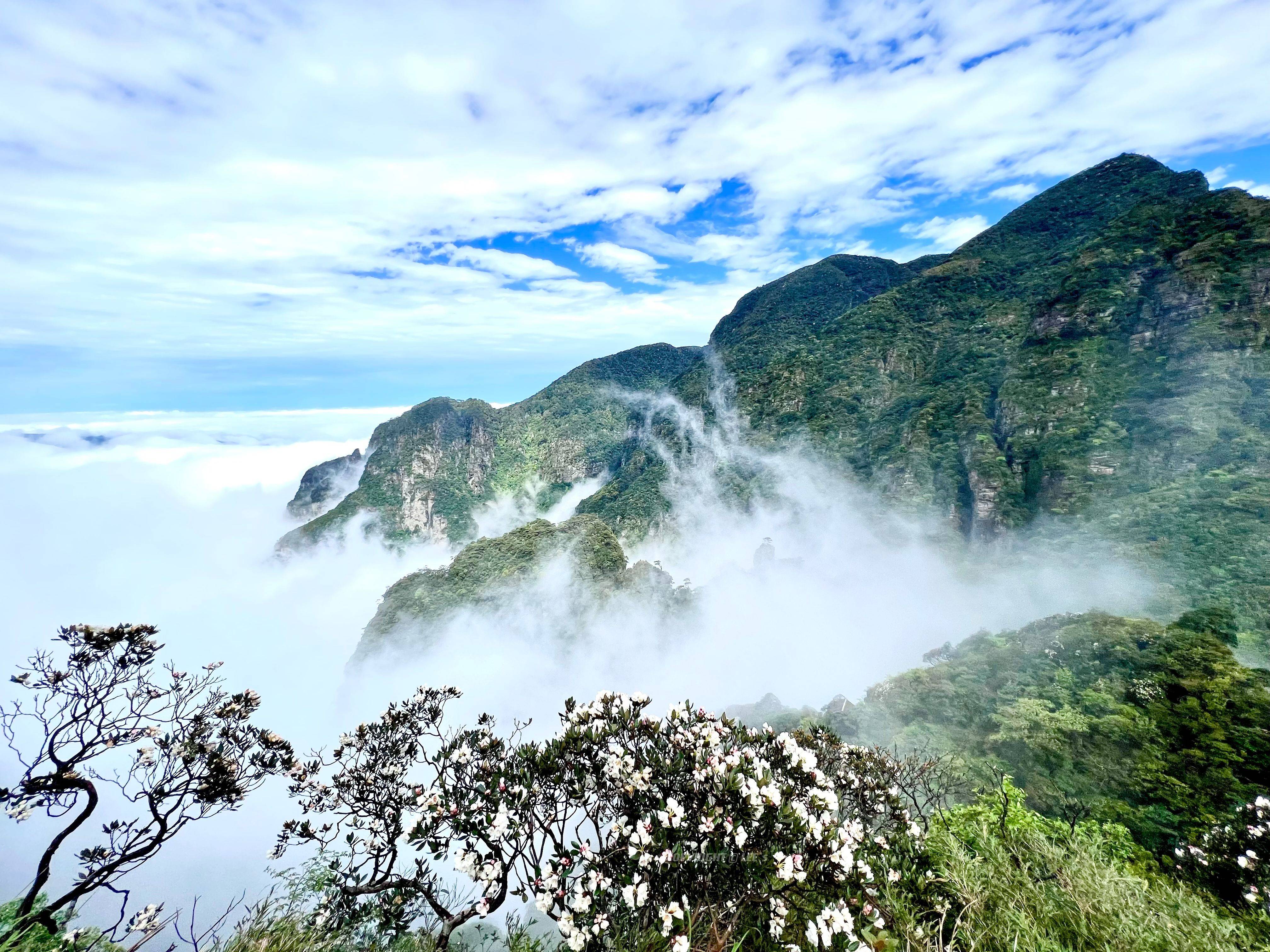 鹃恋圣堂·康养金秀—2023金秀圣堂山杜鹃花文化旅游节5月盛大举行