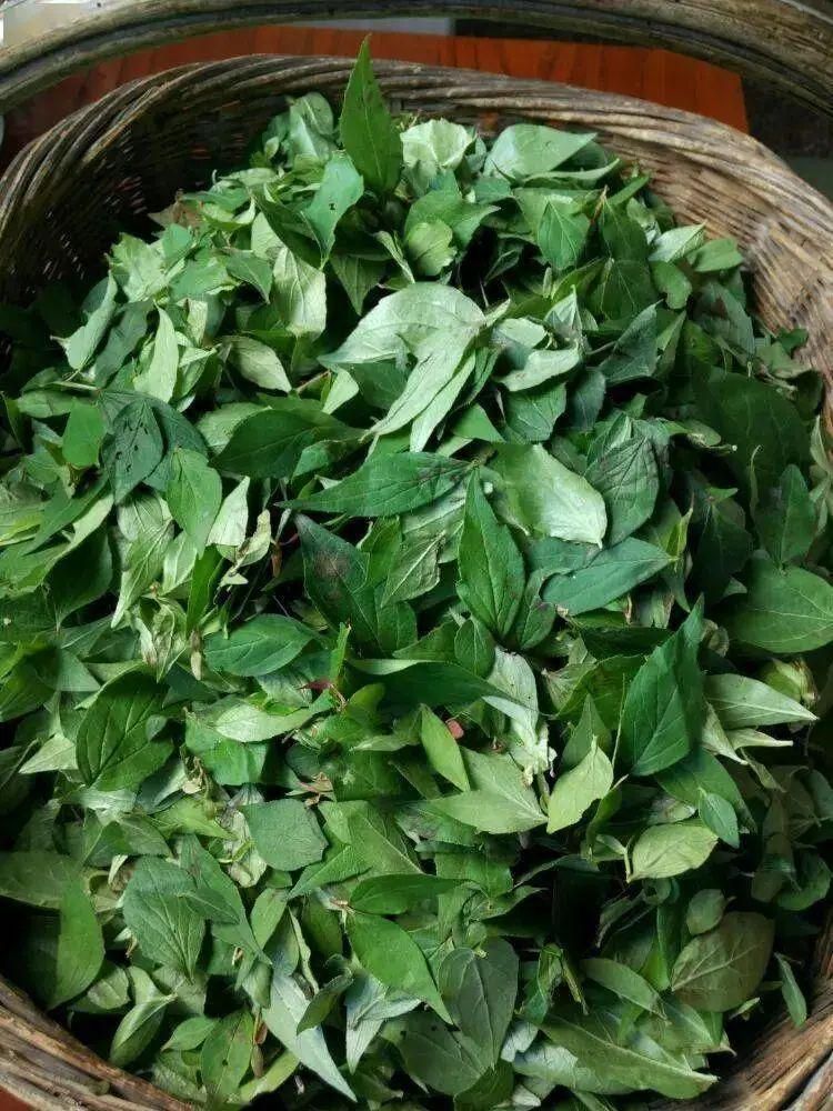 凤县味道|品"凤县观音粉",清凉而爽滑