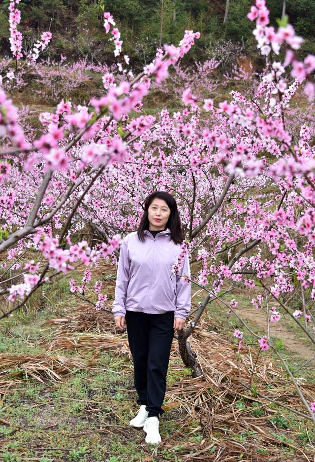 江西上饶广信:桃花盛开惹人醉 众多游客赏花来