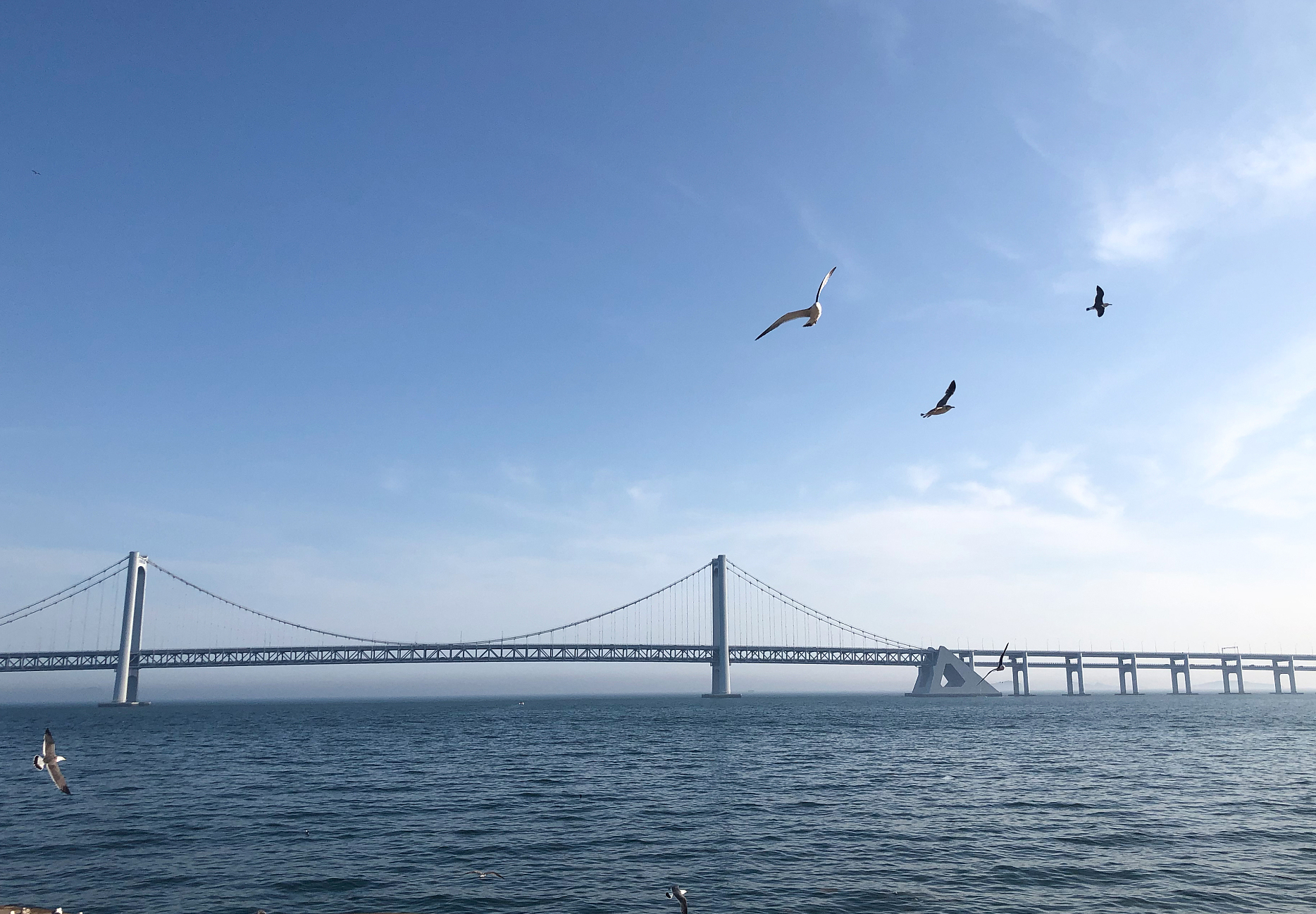 大连海边旅游景点推荐,大连9个观海好去处,每一个都太美了!