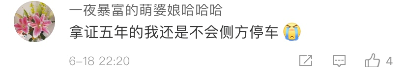 推荐司机停车数次失败，路边保洁阿姨的操作亮了！网友：我找的是保安