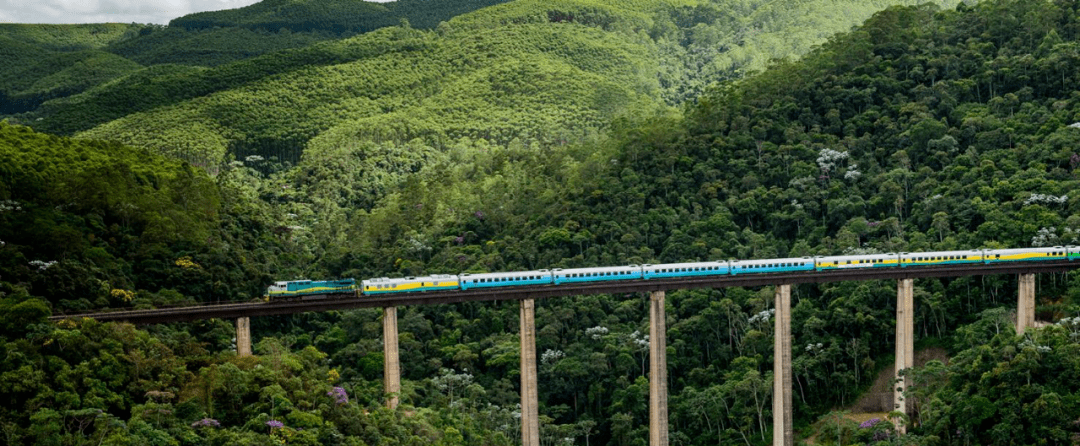 中铁在巴西首个铁路项目奠基,展现中国建造的实力和魅力