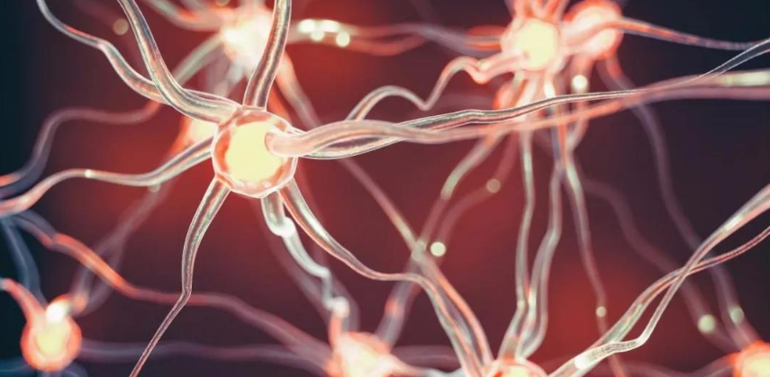 肌肉跳动可能是渐冻症吗?