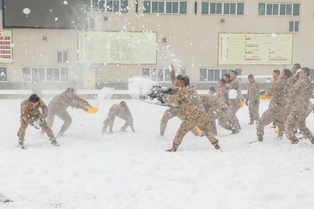 打雪仗照片真实图片