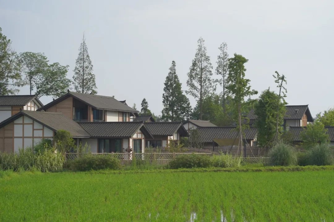 尊重自然生态,重塑文化元素,朗基探索川西民居内涵