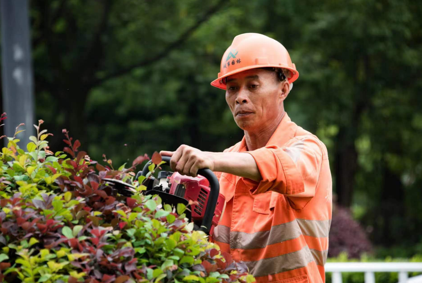 20余名环卫,园林工人为城市"美容师"定格最美身影