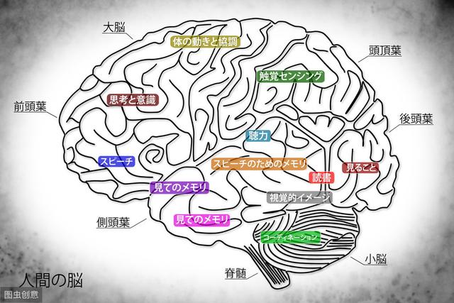 李玫瑾:每天做好这3件事,孩子不仅记忆力好,还一天比一天聪明