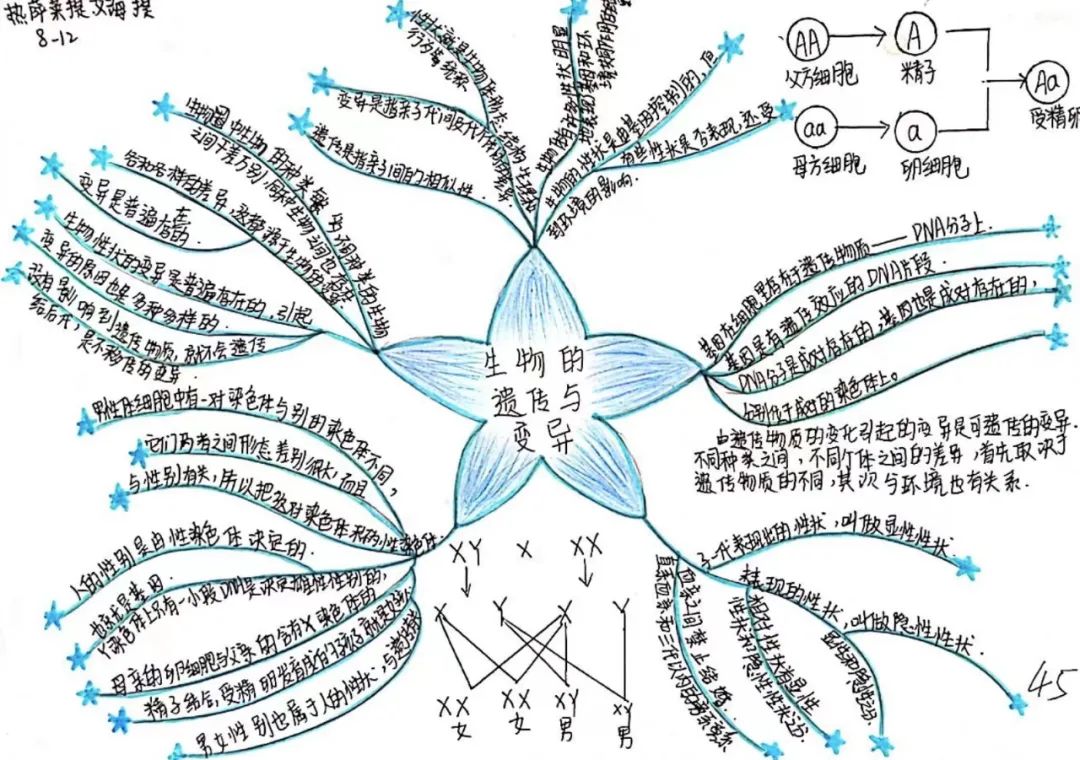 沙雅县第六中学师生思维导图大赛