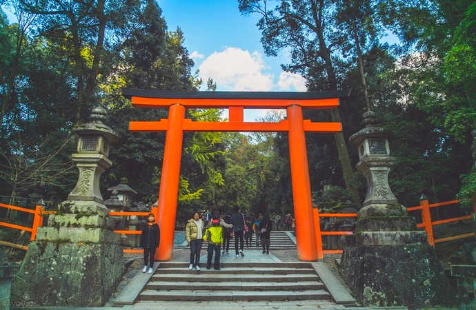 带你走进日本的文化古城——奈良(奈良春漫步,樱花小鹿景无数)
