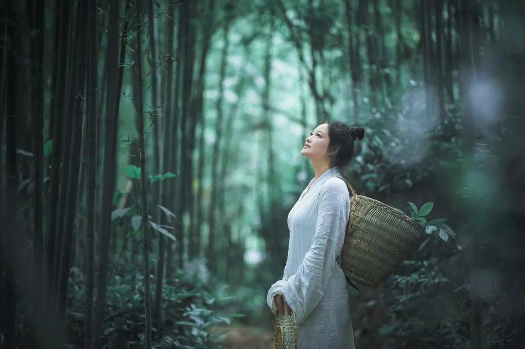 静心,定心,安心,正心