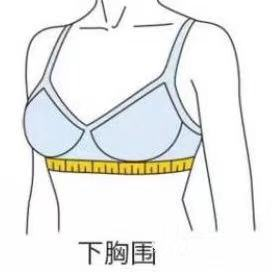 32b和34b有什么区别