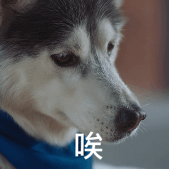 狗狗没事就爱"叹气",对我有什么不满吗?