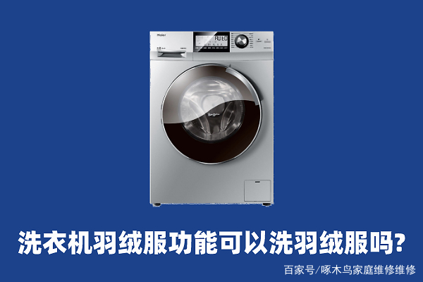 洗衣机可以洗羽绒服吗_普通洗衣机可以洗羽绒服吗-第2张图片-潮百科