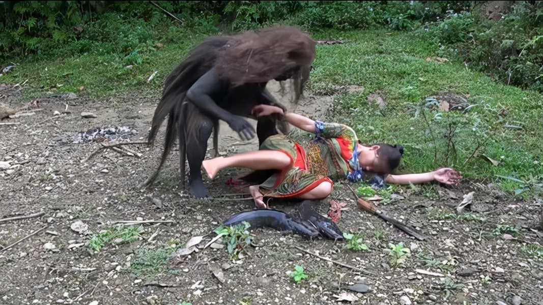 人形熊身多人目睹,被抓后要求上"户口"?