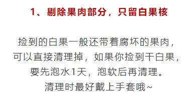 路邊的銀杏果,被他養成搖錢樹,賣了10000塊