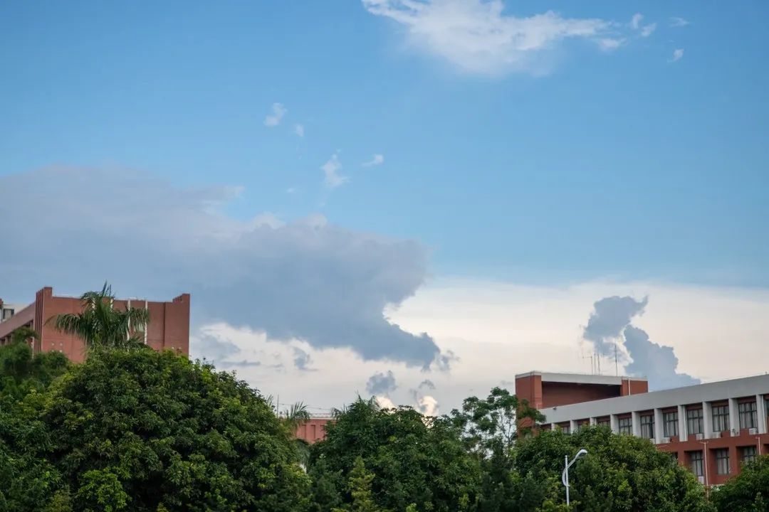 新生遊記|我走過的廣東財經大學華商學院