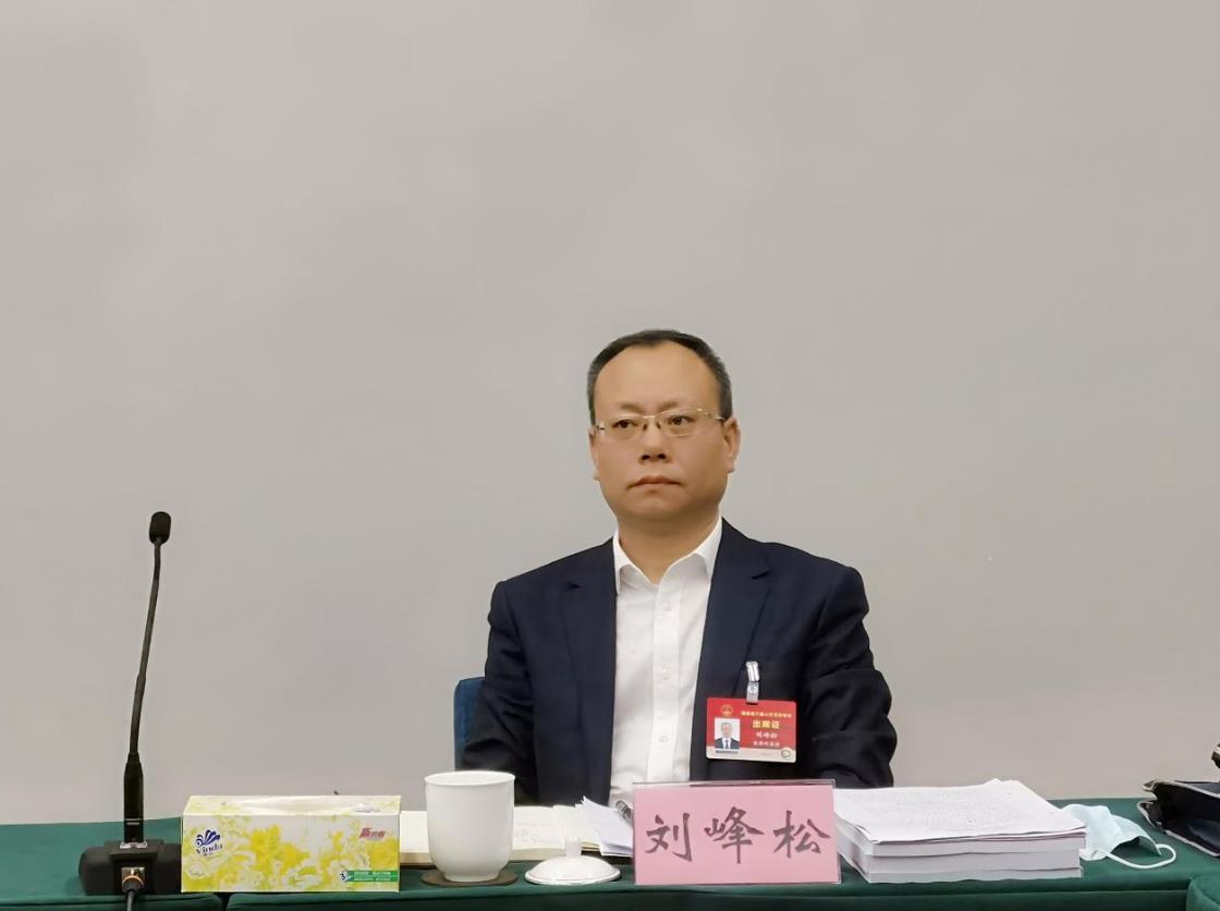 海南省人大代表刘峰松:定安要高质量融入"海澄文定"经济圈