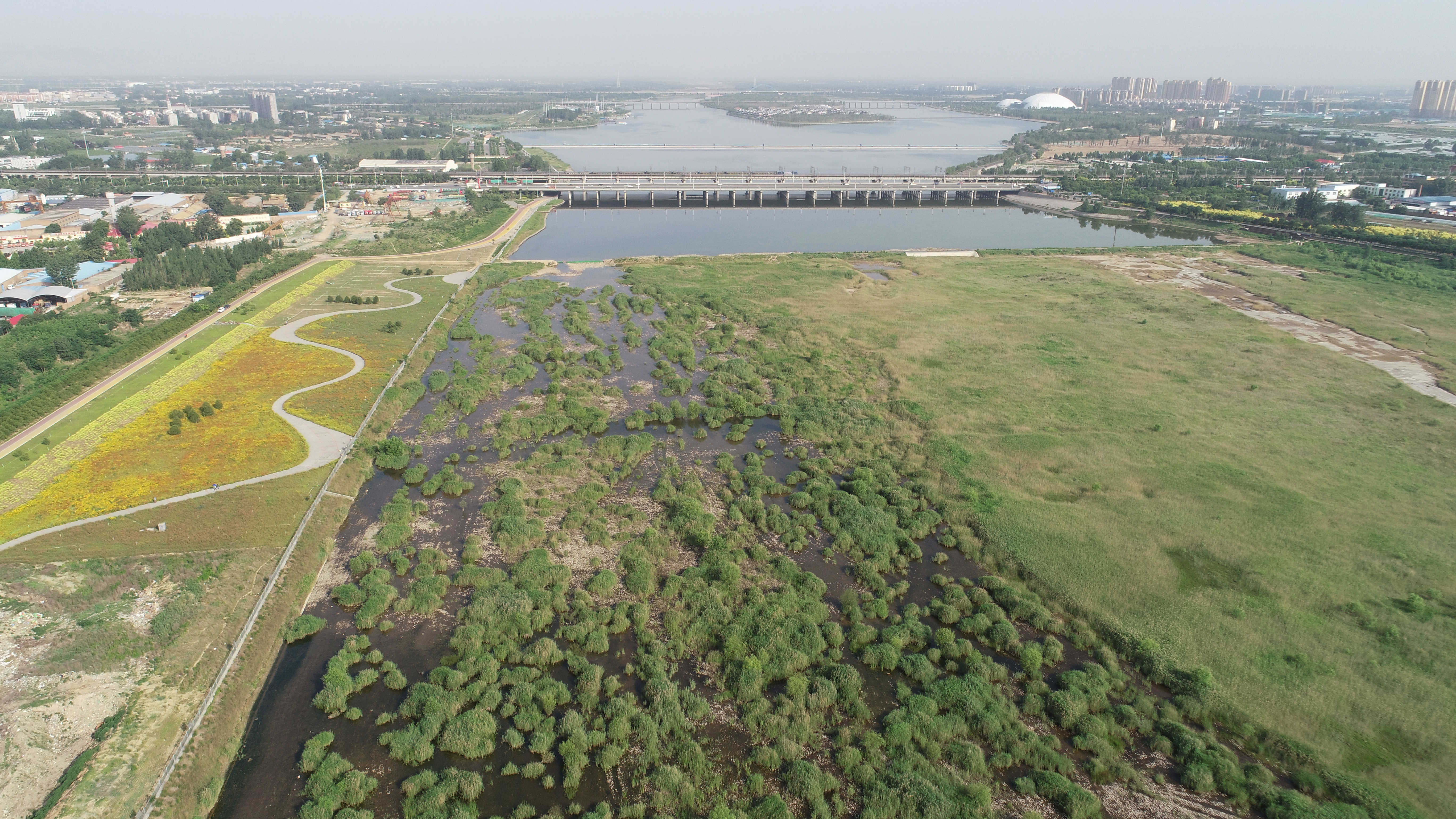 河北石家莊:滹沱河兩岸建成綠色生態景觀長廊(1)